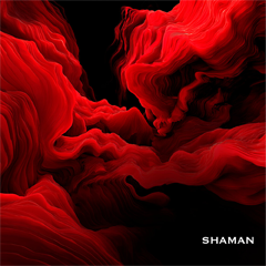 SHAMAN — Не души мою душу