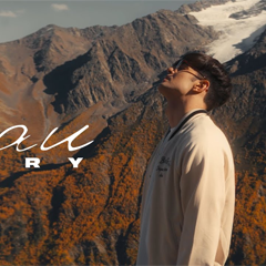 TERRY — Стаи