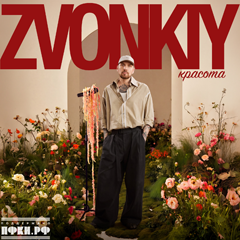 Zvonkiy — Красота